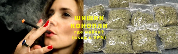 стафф Лабытнанги