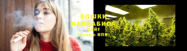 стафф Лабытнанги