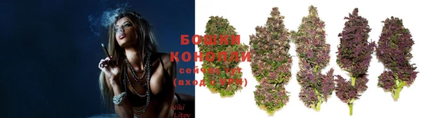 стафф Лабытнанги