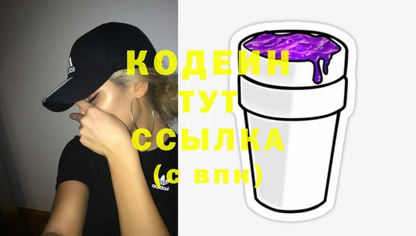 стафф Лабытнанги