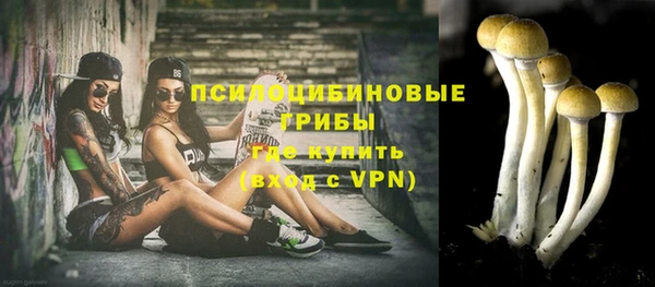 стафф Лабытнанги